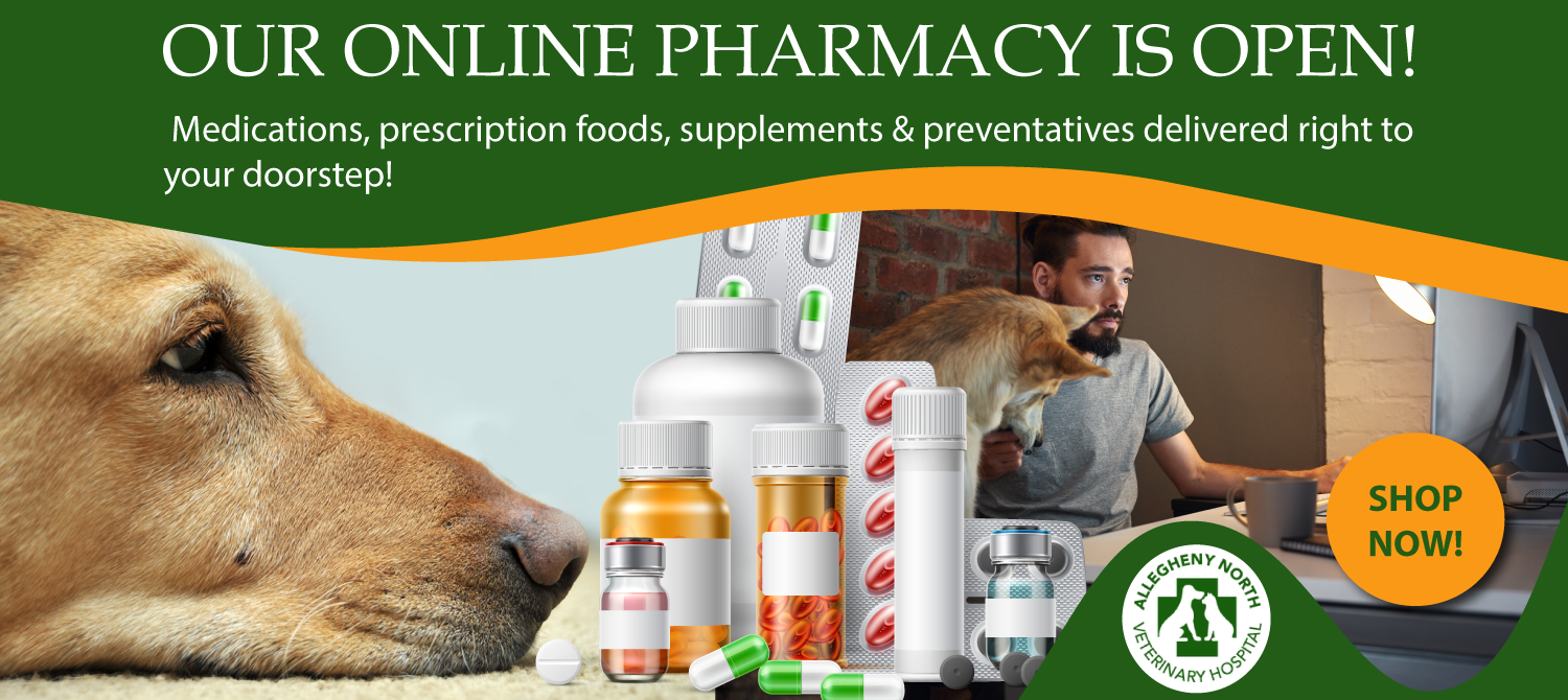 Online pharmacy banner