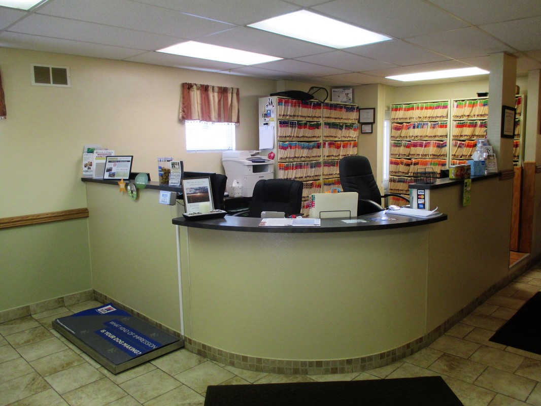 Front Desk - Reception