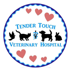 Tender Touch Vet Hospital logo